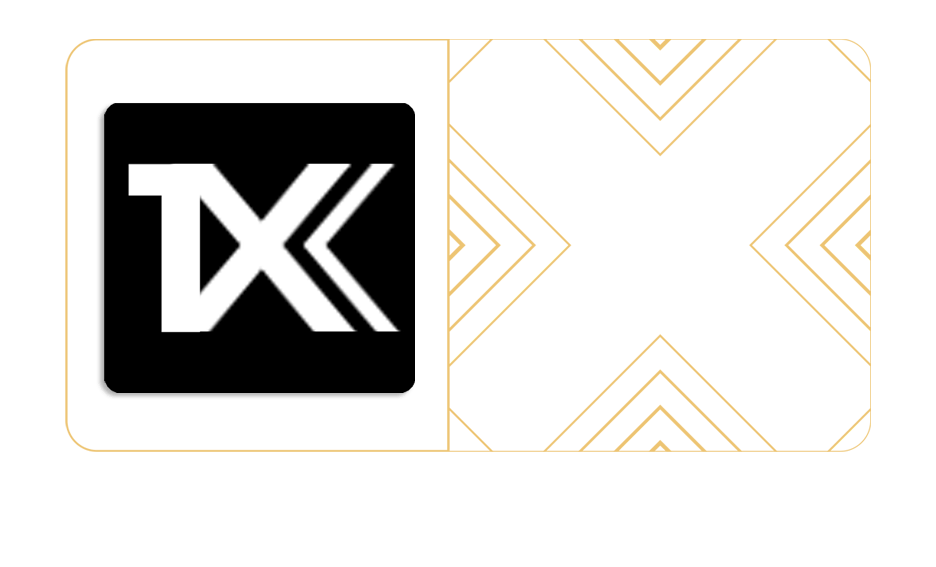Logo - 1X Digital Solutions